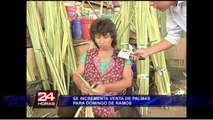 Semana Santa: se incrementan las ventas de palmas para el Domingo de Ramos