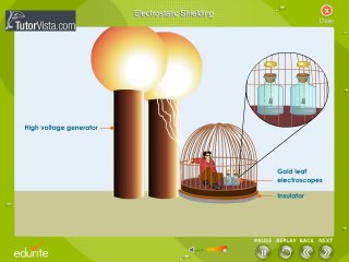Electrostatic Shielding