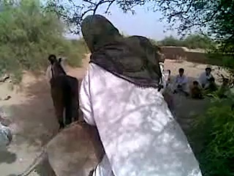 Donkey Matchin
