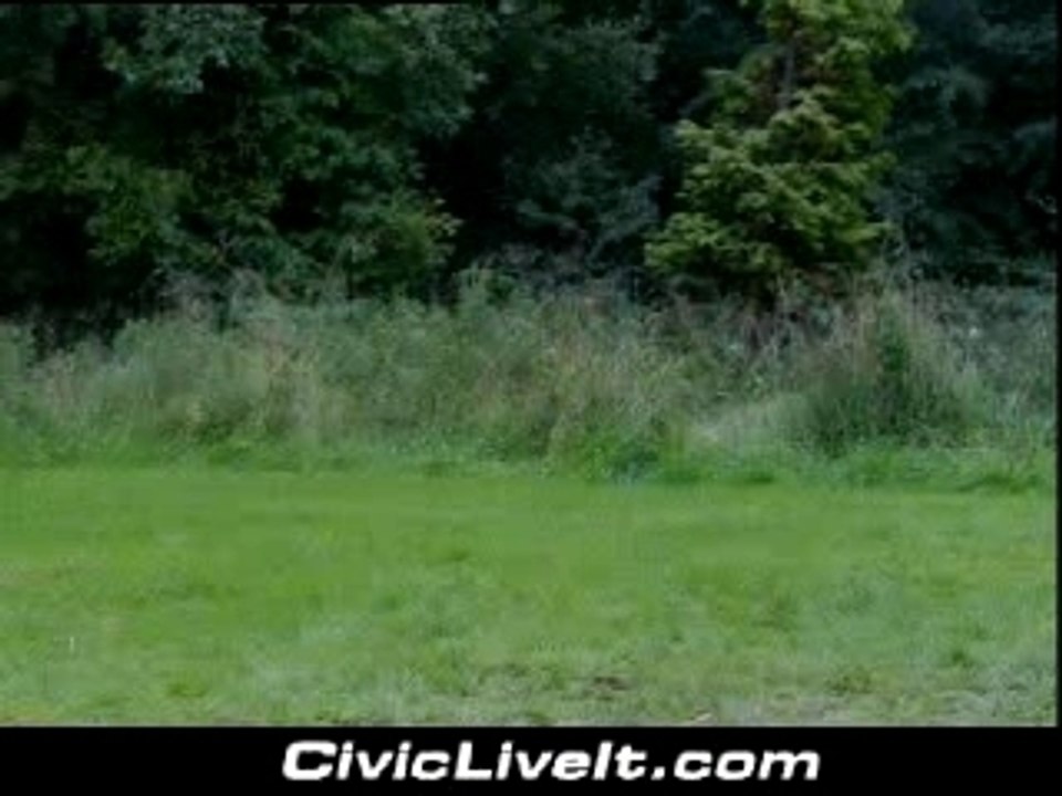 mami est son super dog