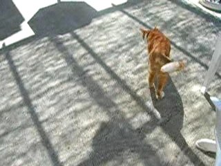 Sassy et Napoléon Bisous!!