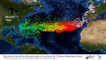 Simulation de dérive de particules - Océan Atlantique Nord