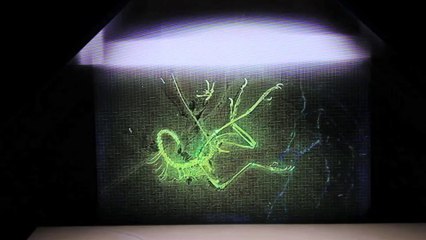 Un archaeopteryx en images de synthèse