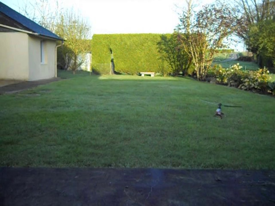 VOL DU F 645 EN EXTERIEUR