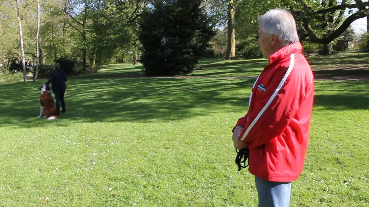 Cambrai: un cours d'éducation canine en situation réelle au Jardin public