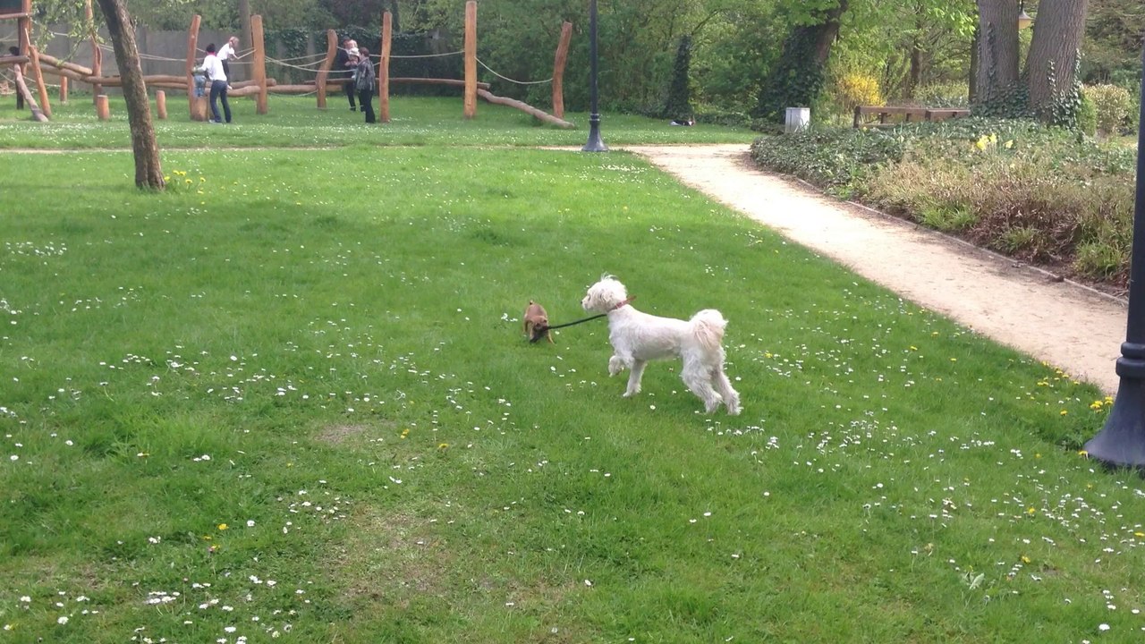 Let's go for a walk!