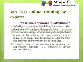 sap is-u onlin etraining by IT experts