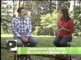 Fedeagro cree que falta rentabilidad para producir café