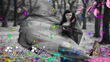 FundA Arar __  Piyango