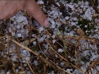 Δηλώσεις για το χαλάζι  στη Στυλίδα