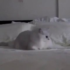 Sabah Telefonu Bulamadığımda - takozovic.com