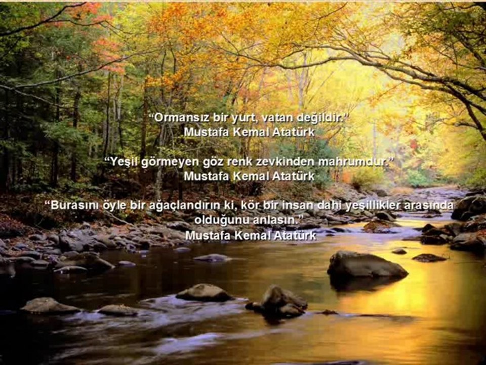 Orman-2