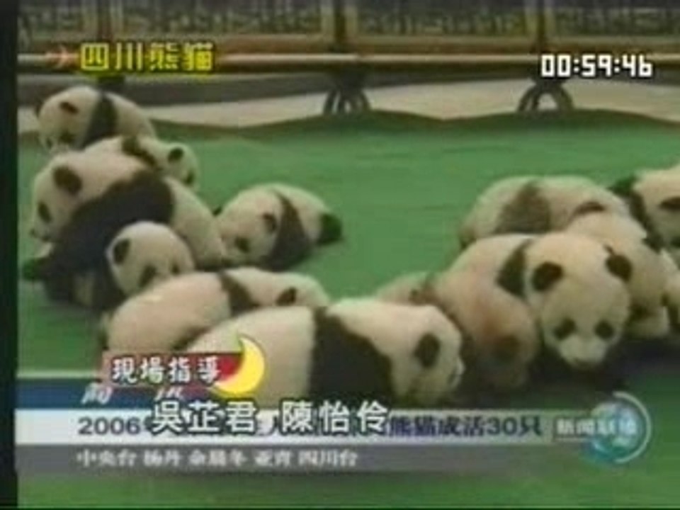 CTV Fin journal