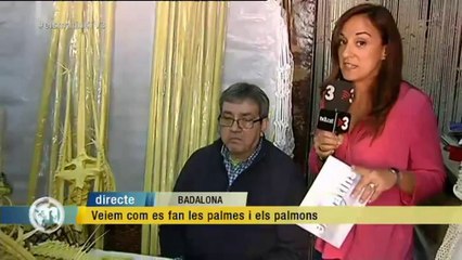TV3 - Els Matins - Les palmes i els palmons