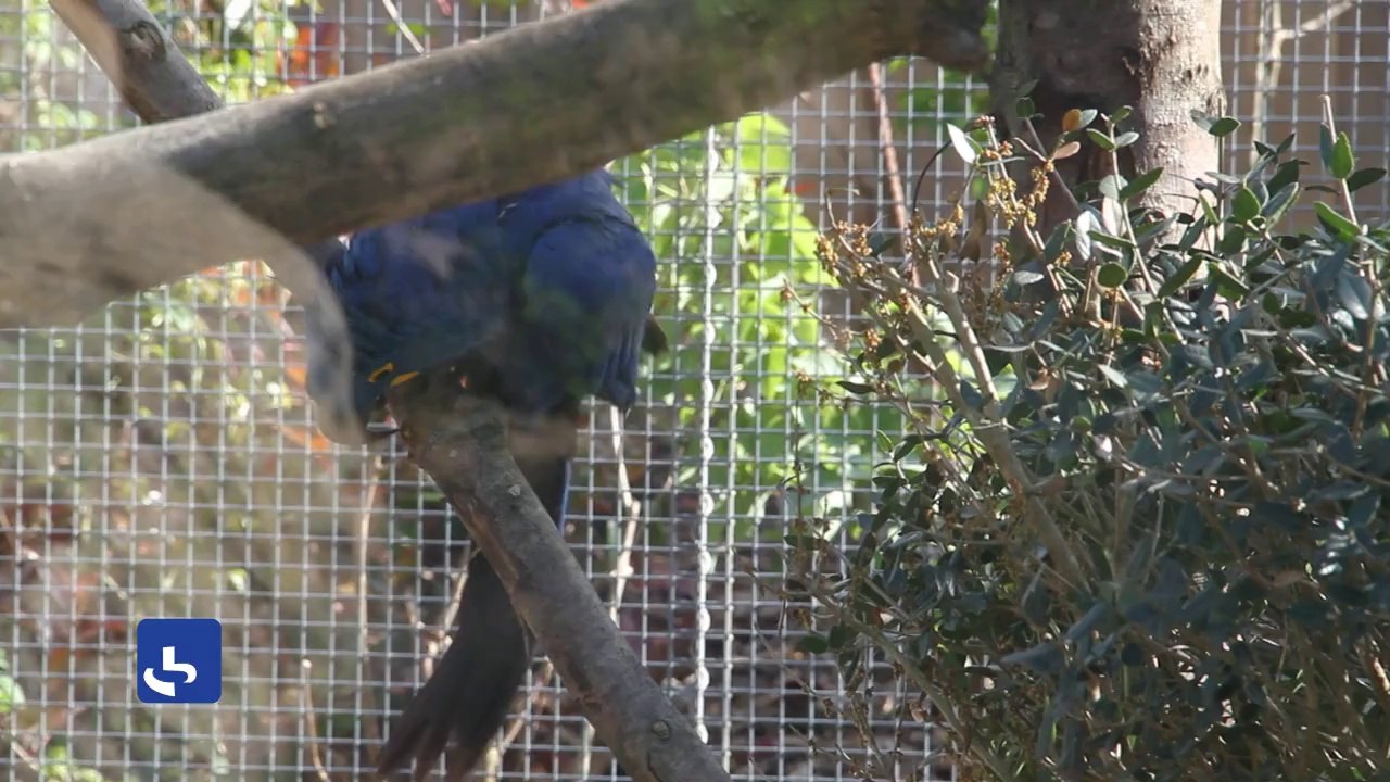 "Toucher tous les publics du Zoo de Vincennes"