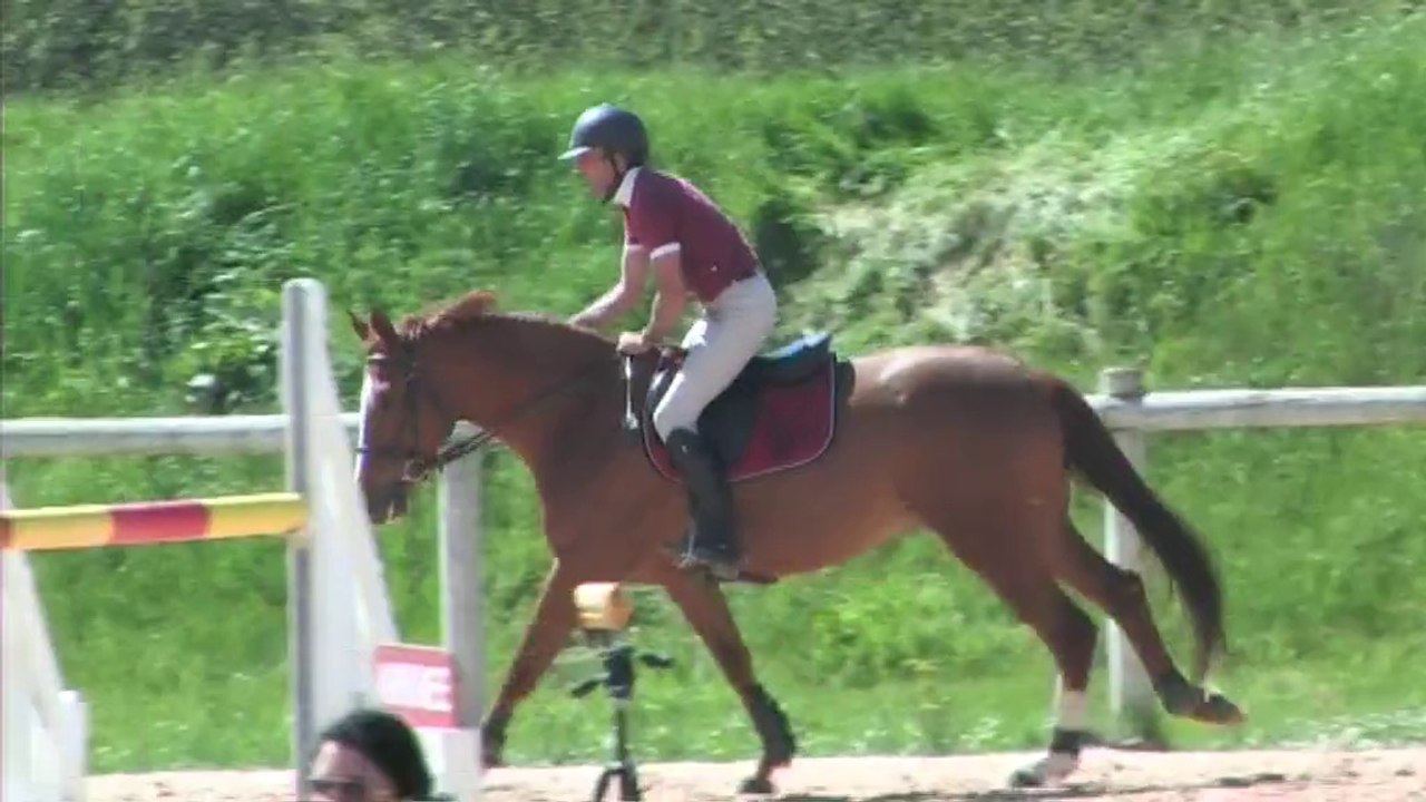 ursuia muret 2