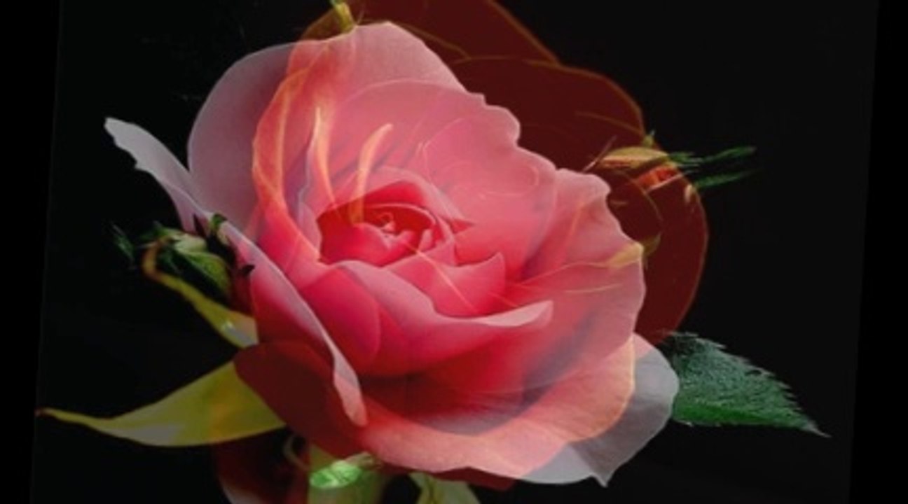 ESKİ LİBAS GİBİ / SEVCAN ORHAN