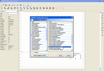 WOLVOX ERP Fatura Tasarımı