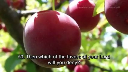 Surah Rahman - Mishary Rashid Al Afasy..