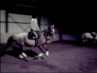 Ma juju et moi au galop