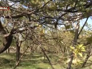 "Çiftçi borcu ertelensin"