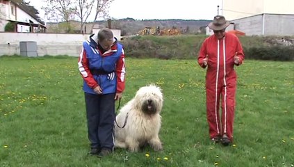 Simulation CSAU Haiku CCF