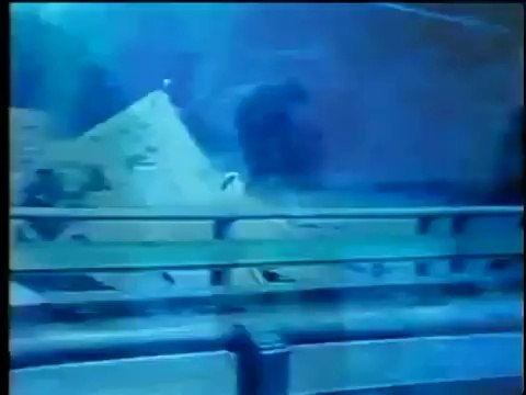 Volcano Eruption - The Eruption of Mt St Helens (1980) - Rare Footage