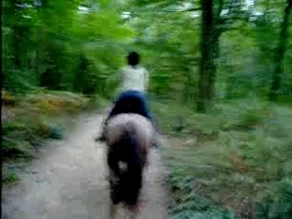 galop en montée (caméra embarquée!)