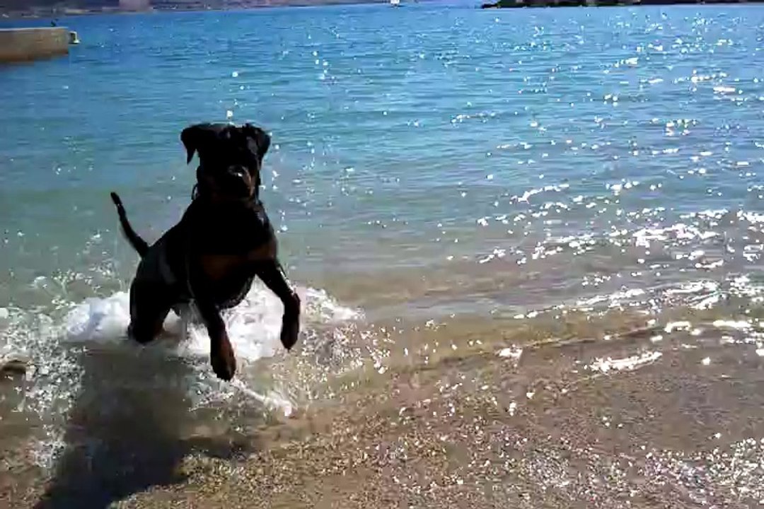 Vidéo0131HOUCHKA 1er BAIN 2014
