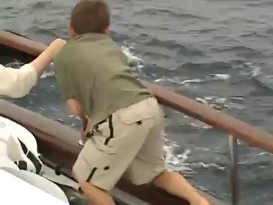 Galapagos Blackfish & Killer Whales - The Orca