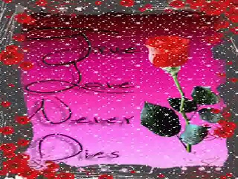 Erkan Ağa /Sende Olsan Keşke Benle/ ⊰♥⊱ GüLbiye♥Orhan ⊰♥⊱