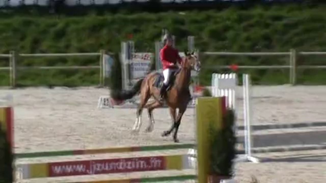 20140408 CSO Sandillon Feria du Lary Z 1