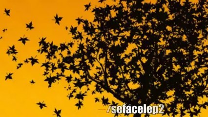 Arsız Bela & İbrahim Bala - Gelemez Misin  [2014]