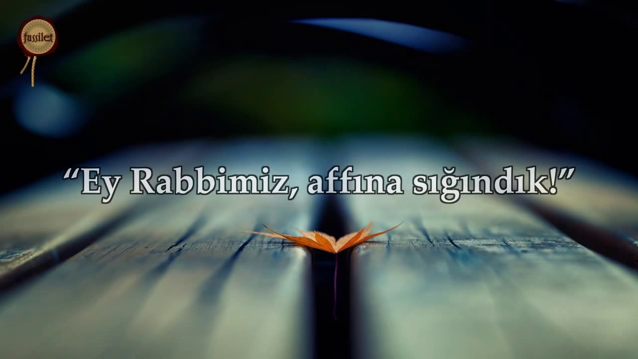 Amenerrasulü - Nasser al Qatami, Ebubekir Şatıri, Mahir al Muaiqly, Mishary Rashed al Afasy