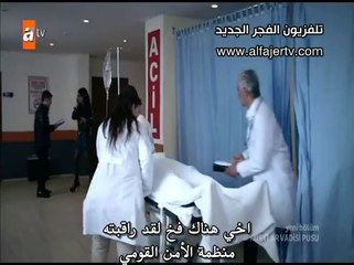 مسلسل وادي الذئاب الحلقة 221 القسمة 8 مترجم للعربية
