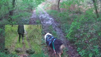 wawa en recherche utilitaire