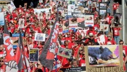Venez nombreux à "Alès Acte II" le 31 mai 2014 !