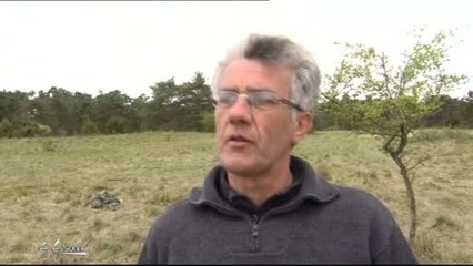 Rave-party à Gironville : Un désastre écologique (Essonne)