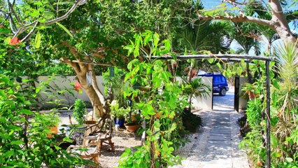 THREE DOLPHINS VILLA ANGUILLA HD ( RENT A VILLA IN ANGUILLA)