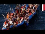 African migrants drown off Yemen coast