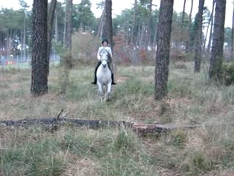 tronc avec isa licol/à cru