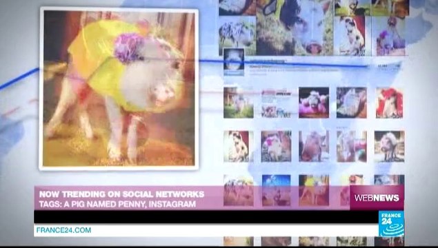 Web News - “Heartbleed” bug prompts online reactions