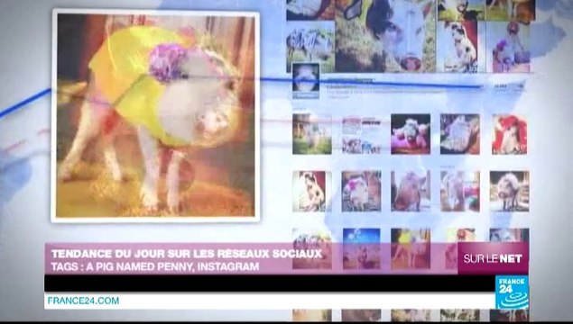 Sur le Net - La Toile s'organise face à la faille de sécurité « Heartbleed »