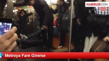 Metroya Fare Girerse