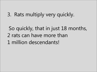 Fun facts - fun animal facts