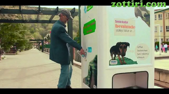 Sokak Hayvanları İçin Üretilmiş Geri Dönüşüm Kutusu