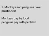 Fun facts - fun animal facts