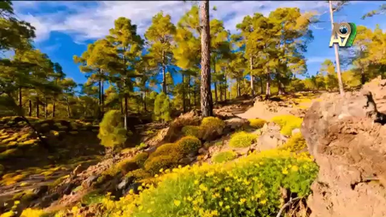 Kuran'da, Hz. İsa (as)'a Kitab'ın Tevrat'ın ve İncil'in öğretildiğinin bildirimesi yeniden yeryüzüne gelecek olmasının delilidir