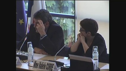 Audition de Mme Martine Carrillon-Couvreur, présidente du Conseil national consultatif des personnes handicapées - Jeudi 10 Avril 2014