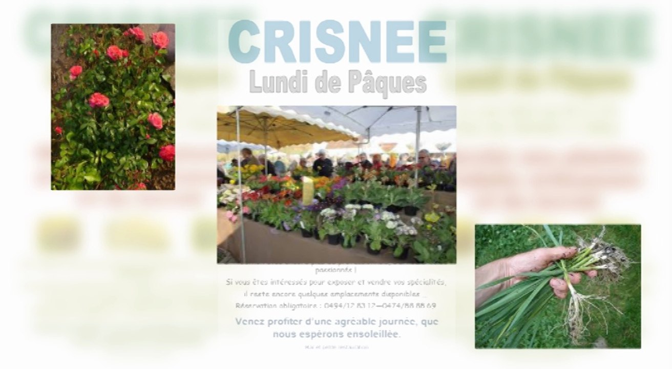 L'Actualité a Crisnée
